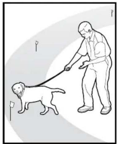 PETSAFE Stay & Play PIF00-12917 - Steps: - 2