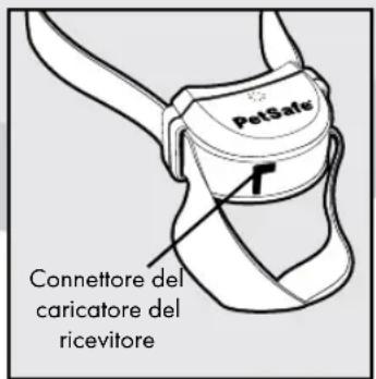 PETSAFE Stay & Play PIF00-12917 - Definizioni chiave - 4