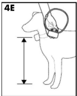 PETSAFE Stay & Play PIF00-12917 - One-Person Method - 3