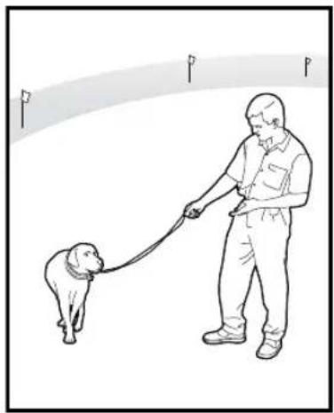 PETSAFE Stay & Play PIF00-12917 - Procedura: - 8