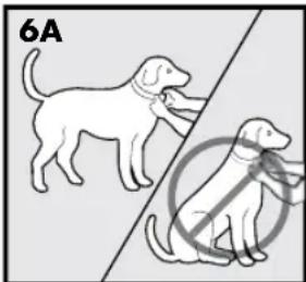 PETSAFE Stay & Play PIF00-12917 - ATENCIÓN - 1