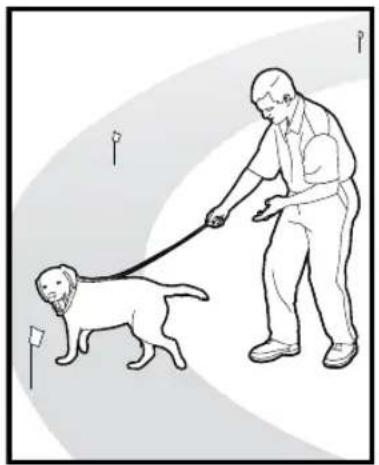 PETSAFE Stay & Play PIF00-12917 - Procedura: - 7