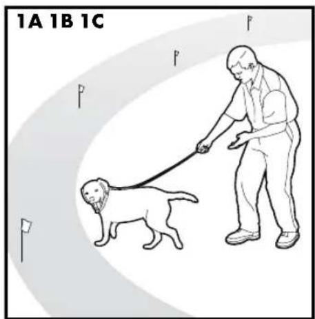 PETSAFE Stay & Play PIF00-12917 - Étapes : - 1