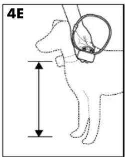 PETSAFE Stay & Play PIF00-12917 - Método para una persona - 3