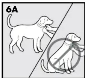 PETSAFE Stay & Play PIF00-12917 - VORSICHT - 1