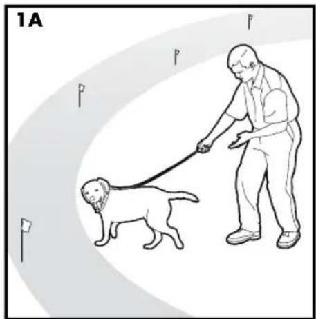 PETSAFE Stay & Play PIF00-12917 - Punti: - 1