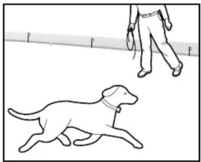 PETSAFE Stay & Play PIF00-12917 - Configuración: - 1