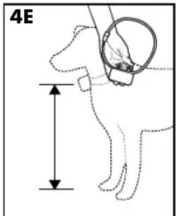 PETSAFE Stay & Play PIF00-12917 - Pasos: - 3