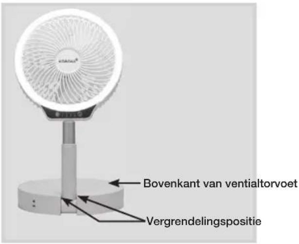 KORONA 81010 - Dit product bevat oplaadbare - 2