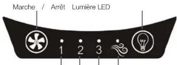 KORONA 81010 - N'utilisez pas l'appareil, - 2