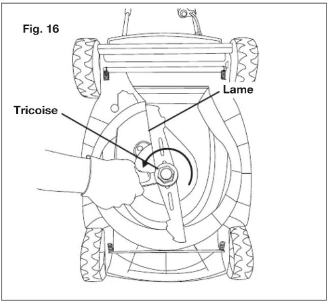 Fig. 16 Tricoise Lame