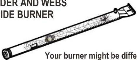 Char-Broil Gas2Coal 463370519 - SPIDER ALERT! - 1