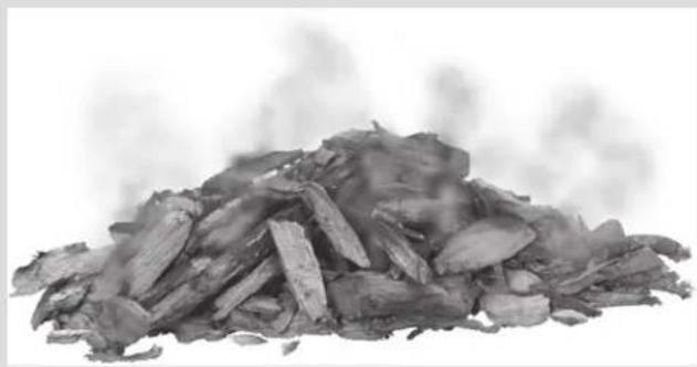 Char-Broil Performance 463351521 - Adobos y aliños - 2