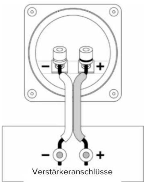 ELAC Debut 2.0 DA42 - Vor der Inbetriebnahme - 1
