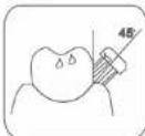 Concept Perfect Smile ZK5001 - Regimi di pulizia - 2