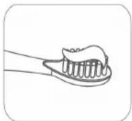 Concept Perfect Smile ZK5000 - Tryby mycia - 5