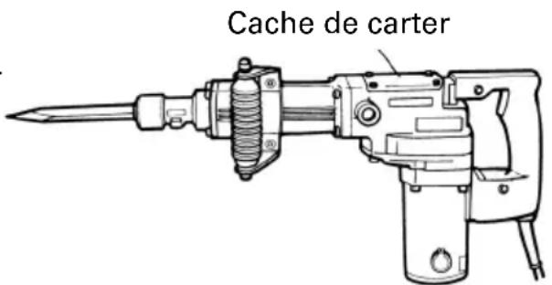 Cache de carter