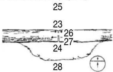 HiKOKI CS33EDTP - CROSS CUTTING LOGS, PRESSURE ON TOP - 1