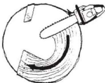 HiKOKI TCS33EB - Felling cut, trunk diameter more than twice guide bar length - 2