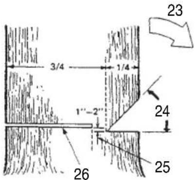 HiKOKI TCS33EB - Reglas básicas para la tala de árboles - 1