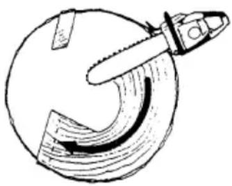 HiKOKI TCS33EDTP - COUPE D'ABATTAGE. DIAMÉTRE DU TRONC SUPERIEUR À DEUX FOIS LA LONGUEUR DU GUIDE-CHAîNE - 2