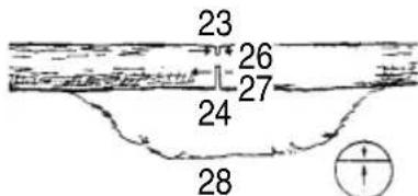 HiKOKI TCS33EDTP - CROSS CUTTING LOGS, PRESSURE ON TOP - 1