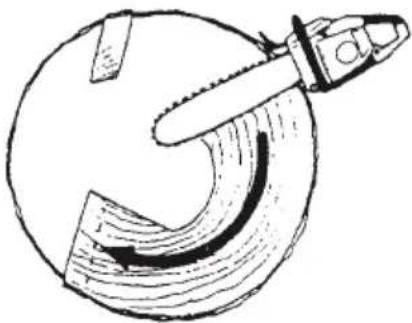 HiKOKI TCS51EAP - Felling cut, trunk diameter more than twice guide bar length - 2