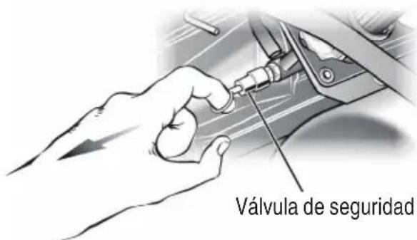 Válvula de seguridad