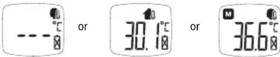 BOSO Bosotherm Diagnostic - Low batteries display - 1