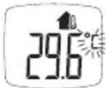 BOSO Bosotherm Diagnostic - Prises de température d'objets - 5