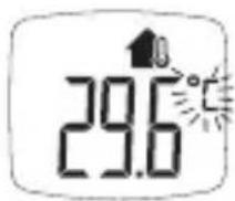 BOSO Bosotherm Diagnostic - Misurazione della temperatura degli oggetti - 5