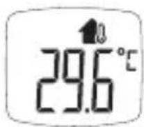 BOSO Bosotherm Diagnostic - Prises de température d'objets - 4