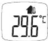 BOSO Bosotherm Diagnostic - Temperaturmessungen bei Gegenständen - 6
