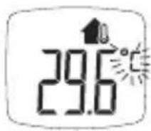 BOSO Bosotherm Diagnostic - Temperature Measurements of Objects - 5