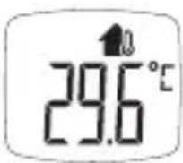 BOSO Bosotherm Diagnostic - Temperaturmessungen bei Gegenständen - 4