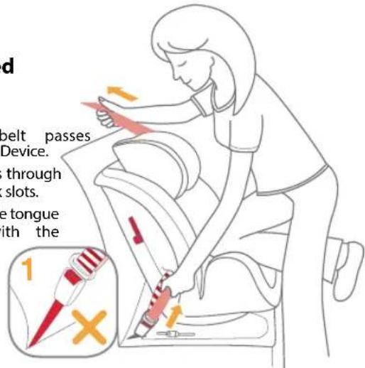 Burigotto Bahia - The assembled safety belt is shown - 1