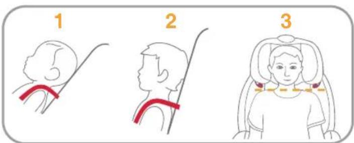 Burigotto Bahia - Height Adjustment for Head Support and Shoulder Harnesses - 1