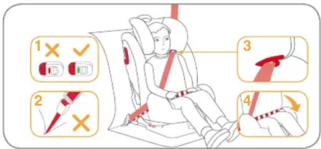 Burigotto Bahia - Einbau mit Dreipunktgurt und ISOFIX-Befestigungen - 1