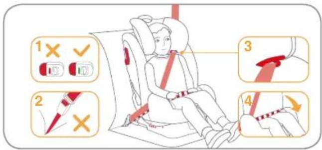 Burigotto Bahia - For installation with 3-point-belt and ISOFIX attachments - 1