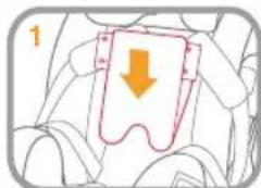 Burigotto Bahia - Securing your Child in the Child Restraint Use Infant Insert - 6
