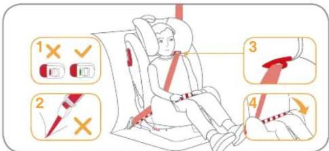 Burigotto Bahia - Pour installation avec ceinture à 3 points et attaches ISOFIX - 1