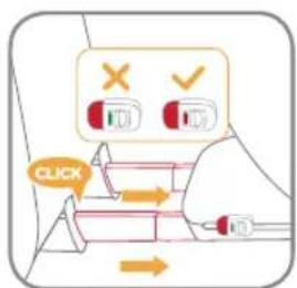 Burigotto Bahia - For installation with ISOFIX (ISOFIX attachments and top tether) - 11