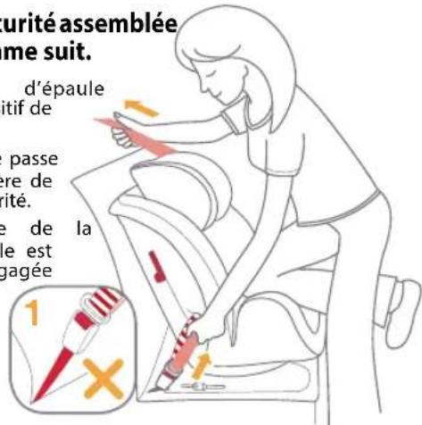 Burigotto Bahia - La ceinture de sécurité assemblée est indiquée comme suit. - 1