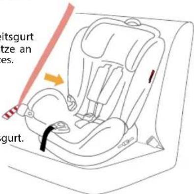 Burigotto Bahia - Einbau mit Dreipunktgurt - 1