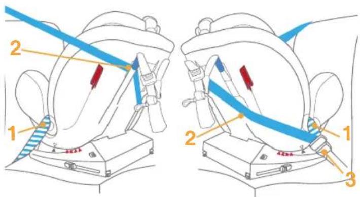 Burigotto Bahia - Correctly assembled vehicle belt is shown as - 1