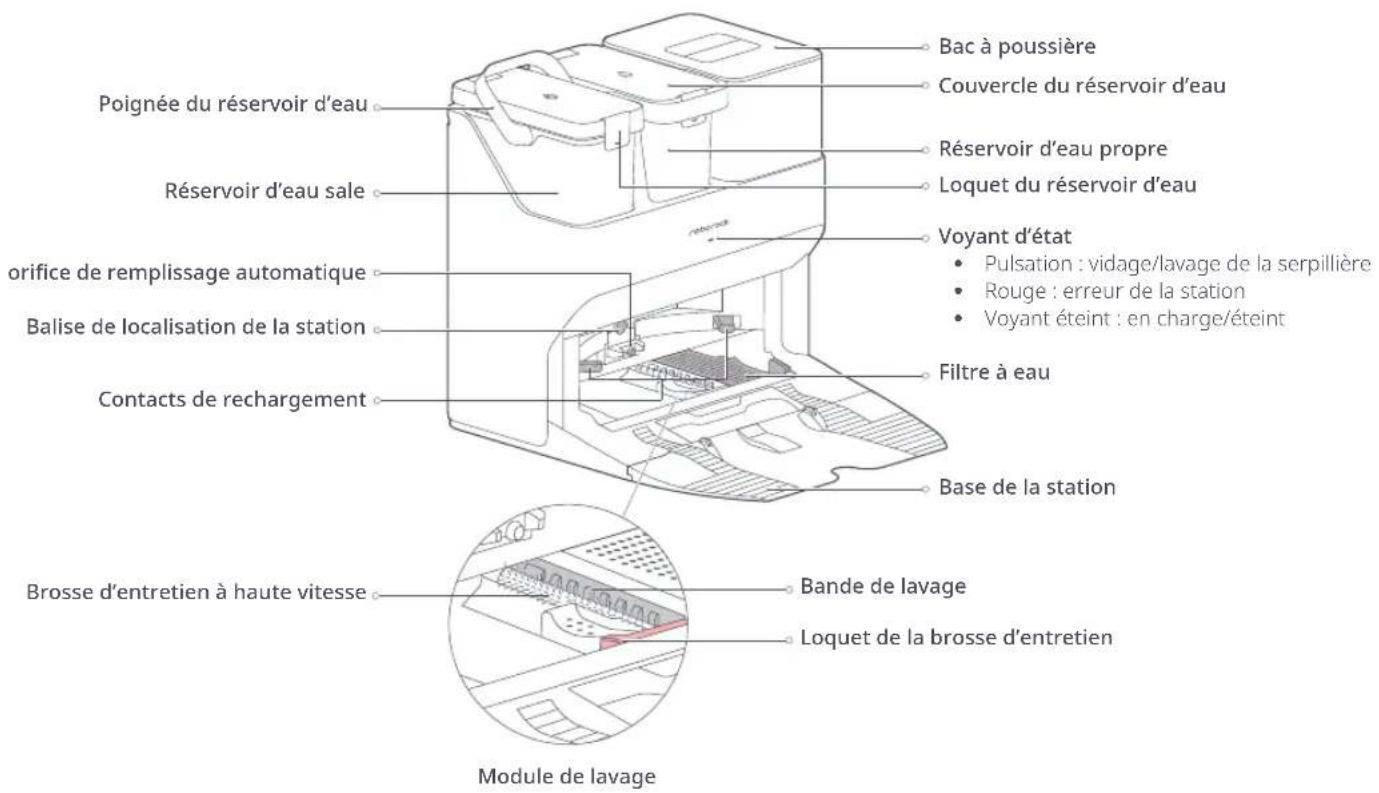 Poignée du réservoir d'eau Réservoir d'eau sale orifice de remplissage automatique Balise de localisation de la station Contacts de rechargement Bac à poussière Couvercle du réservoir d'eau Réservoir d'eau propre Loquet du réservoir d'eau Voyant d'état • Pulsation : vidage/lavage de la serpillière • Rouge : erreur de la station • Voyant éteint : en charge/éteint Filtre à eau Base de la station Brosse d'entretien à haute vitesse Bande de lavage Loquet de la brosse d'entretien Module de lavage