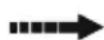 BESTWAY Hydrium 56586 - ΤΟΠΟΘΕΤΗΣΤΕ ΩΣ ΦΙΛΤΡΟ ΤΗΝ ΕΙΔΙΚΗ ΔΙΑΤΟΜΙΚΗ ΑΜΜΟ ΒΑΘΙΑΣ ΕΚΤΑΣΗΣ/FLOWCLEAR™ POLYSPHERE. - 4