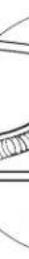 GE GFW550SPRRS - The Ground Truth image displays a single, solid horizontal line. According to Rule 2 (UNDERSCORE &amp; LINE RULES), this is a stylistic or background line, not a placeholder underscore. Therefore, the OCR result must ignore it and output nothing or only meaningful text. The provided OCR content is "\_\_\_\_", which consists of four underscores. This is an incorrect interpretation of the line as a placeholder, violating the rule that stylistic lines must be ignored. The OCR has hallucinated underscores where none should exist based on the GT's visual context. Hence, the OCR result is inconsistent with the Ground Truth. - 14