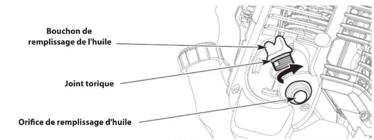 TROY-BILT TBE304 - VÉRIFICATION DU NIVEAU D'HUILE - 3