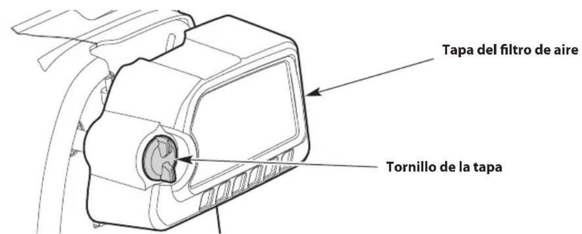 TROY-BILT TBE304 - Limpieza del filtró de aire - 1